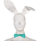 Rivals Luna Snow Bunny Girl Costume de Cosplay Tenue de Halloween Carnaval