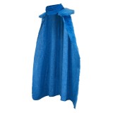 Costume de cosplay en peluche bleu Sanji pour Halloween et carnaval