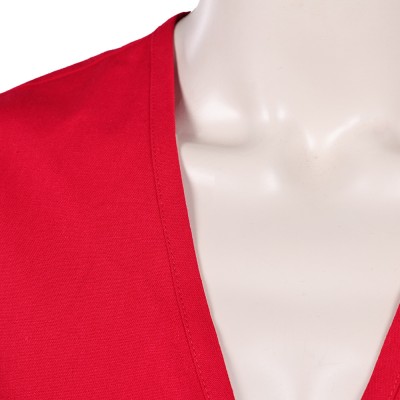 Costume de cosplay Monkey D. Luffy avec gilet rouge pour Halloween et carnaval