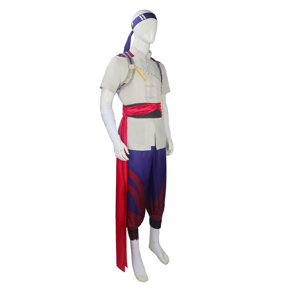 Costume de cosplay Gray de Liu Kang, Dieu du Feu, pour Halloween et carnaval Mortal Kombat