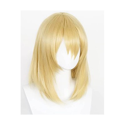 Howl Hauru Wig Heat Resistant Synthetic Hair Accessories Cosplay Costume Halloween Carnival