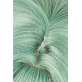 Honkai Star Rail HuoHuo Wig Heat Resistant Synthetic Hair Accessories Cosplay Costume Halloween Carnival