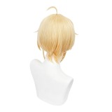 Honkai: Star Rail Lynx Wig Heat Resistant Synthetic Hair Party Props Cosplay Costume Halloween Carnival