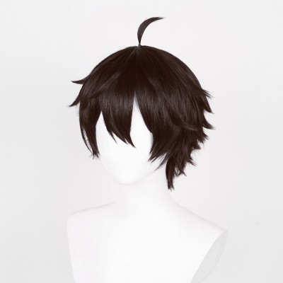 Honkai: Star Rail Dan Heng Wig Heat Resistant Synthetic Hair Party Props Cosplay Costume Halloween Carnival
