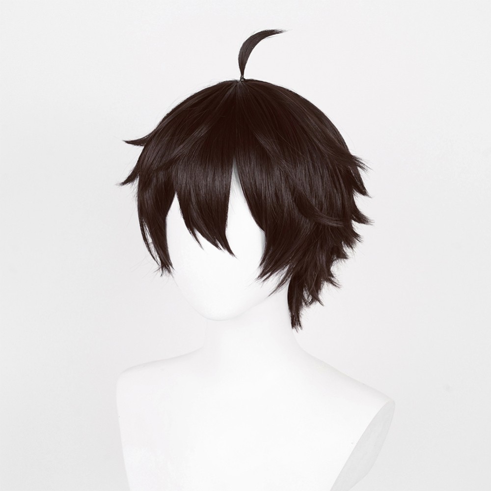 Honkai: Star Rail Dan Heng Wig Heat Resistant Synthetic Hair Party Props Cosplay Costume Halloween Carnival