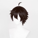 Honkai: Star Rail Dan Heng Wig Heat Resistant Synthetic Hair Party Props Cosplay Costume Halloween Carnival