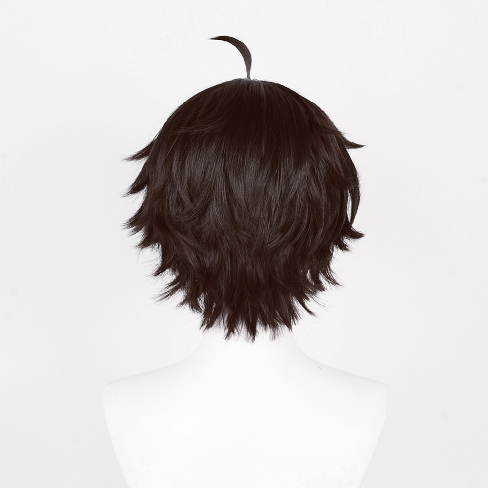 Honkai: Star Rail Dan Heng Wig Heat Resistant Synthetic Hair Party Props Cosplay Costume Halloween Carnival