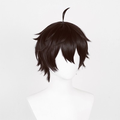 Honkai: Star Rail Dan Heng Wig Heat Resistant Synthetic Hair Party Props Cosplay Costume Halloween Carnival