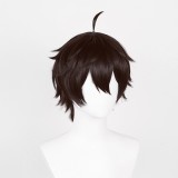 Honkai: Star Rail Dan Heng Wig Heat Resistant Synthetic Hair Party Props Cosplay Costume Halloween Carnival