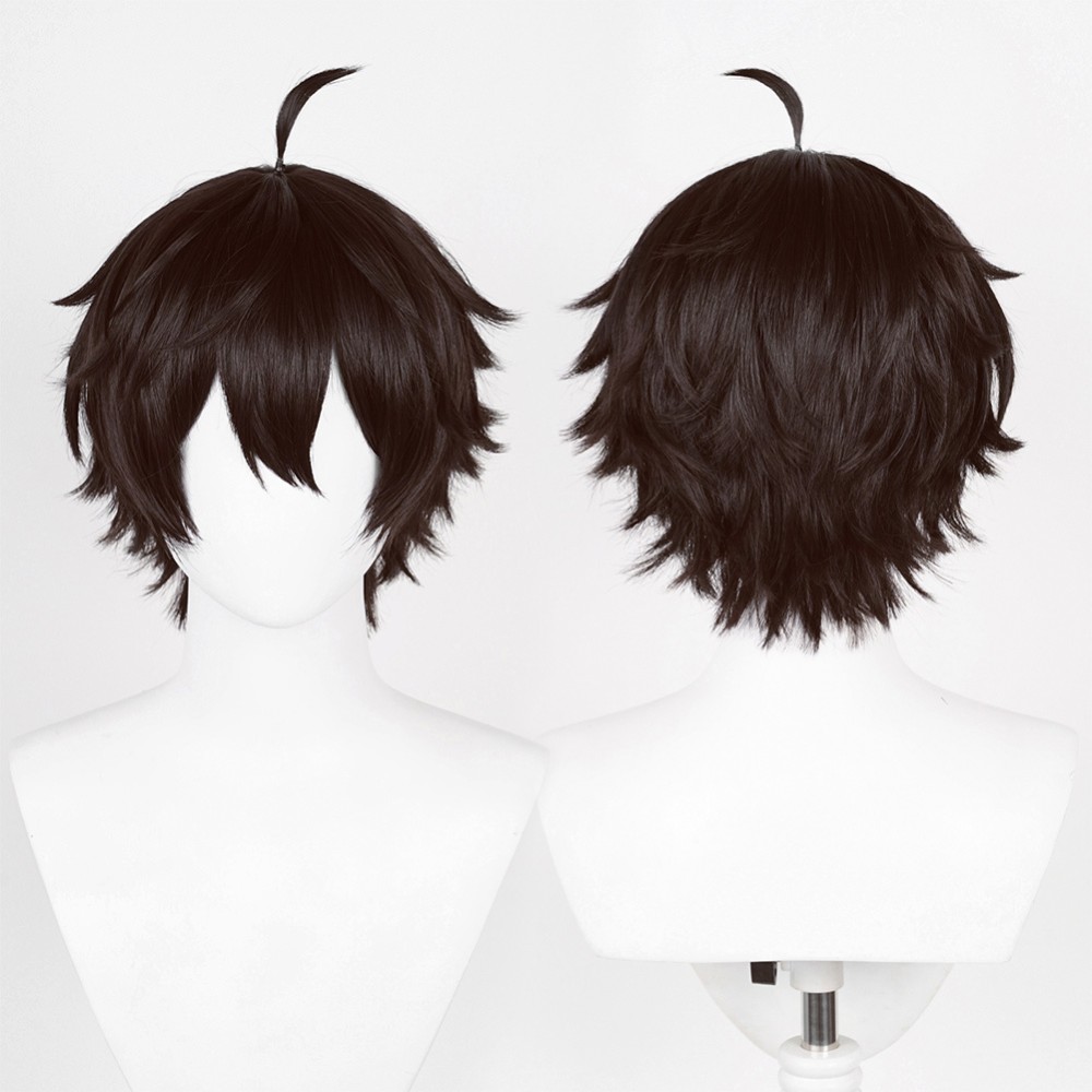 Honkai: Star Rail Dan Heng Wig Heat Resistant Synthetic Hair Party Props Cosplay Costume Halloween Carnival