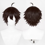 Honkai: Star Rail Dan Heng Wig Heat Resistant Synthetic Hair Party Props Cosplay Costume Halloween Carnival
