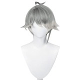Genshin Impact AlHaitham Wig Hair Party Props Cosplay Costume Halloween Carnival