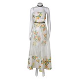 Final Fantasy Aerith Women Citrus Pattern Dress Cosplay Costume Halloween Carnival Outfit