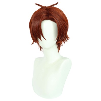 Classroom of the Elite Ayanokouji Kiyotaka Wig Heat Resistant Synthetic Hair Accessories Cosplay Costume Halloween Carnival