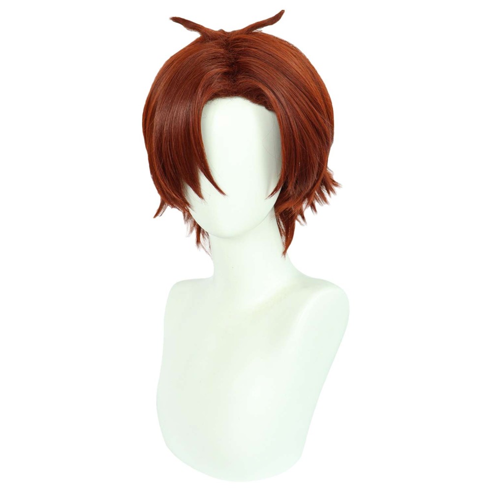 Classroom of the Elite Ayanokouji Kiyotaka Wig Heat Resistant Synthetic Hair Accessories Cosplay Costume Halloween Carnival