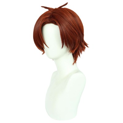 Classroom of the Elite Ayanokouji Kiyotaka Wig Heat Resistant Synthetic Hair Accessories Cosplay Costume Halloween Carnival
