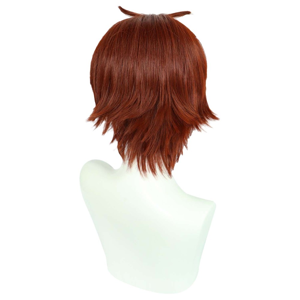 Classroom of the Elite Ayanokouji Kiyotaka Wig Heat Resistant Synthetic Hair Accessories Cosplay Costume Halloween Carnival