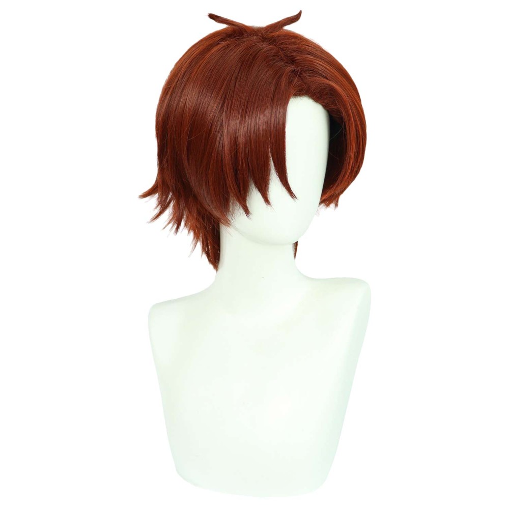 Classroom of the Elite Ayanokouji Kiyotaka Wig Heat Resistant Synthetic Hair Accessories Cosplay Costume Halloween Carnival