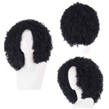 Brook Wig Accessories Cosplay Costume Halloween Carnival
