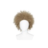 Beetlejuice Beetlejuice Wig Short Wig Custome Accessories Cosplay Costume Halloween Carnival